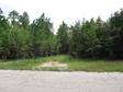 Albany,  2.3 acre wooded lot,  zoned for residential or mobile