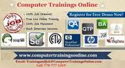 HP Loadrunner Online Training with Placement Assistance 