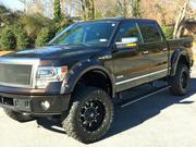 Ford 2013 Ford F-150 Platinum