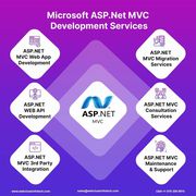 ASP Net MVC Developers
